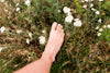 Rooted Is the New Radiant: O Ritual Diário que Está a Reconfigurar a Energia Interior
