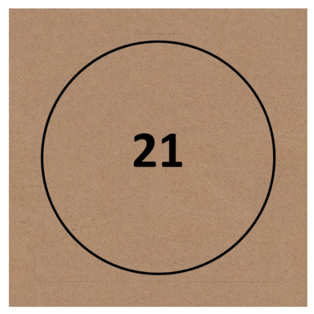 Gráfico de Radiestesia MDF cru 3,2mm 20x20 Código 21